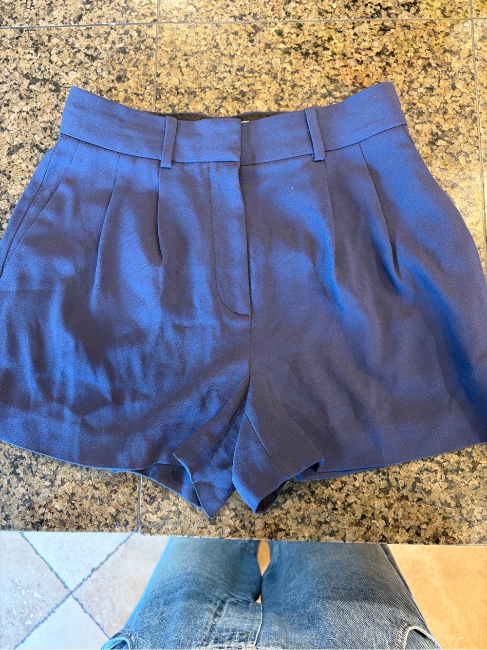 Aritzia Babaton Tailored High-Waist Navy Pleat-Front Shorts - Picture 3 of 8